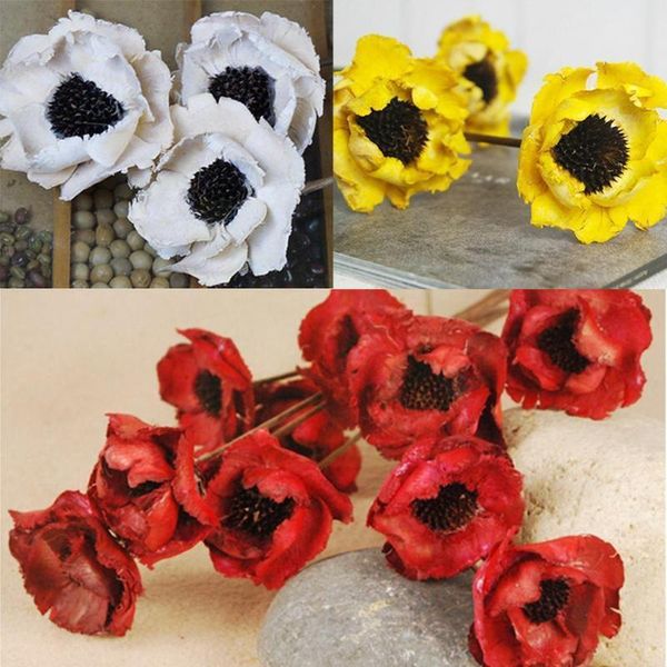 decorative flowers & wreaths 1 branch natural dried poppy material plant european handmade diy style home wedding dry flower decoration l6w1
decorative flowers & wreaths 1 branch natural dried poppy material plant european handmade diy style home wedding dry flower decoration l6w1