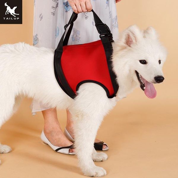 dog collars & leashes tailup lift support harness for foreleg k9 aid lifting elderly weak canine with handle injuries arthritis
dog collars & leashes tailup lift support harness for foreleg k9 aid lifting elderly weak canine with handle injuries arthritis