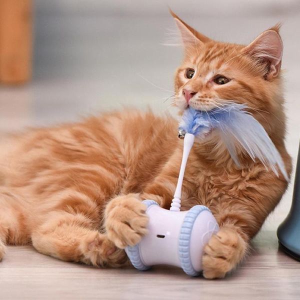 cat toys robotic interactive toy feather balance car for indoor 360 degree self rotating automatic led usb charging pet
cat toys robotic interactive toy feather balance car for indoor 360 degree self rotating automatic led usb charging pet