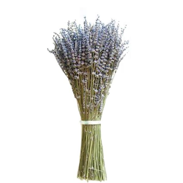 bunches provence natural lavender flower dried flowers romantic immortal dry bouquet wedding party home decoration decorative & wreaths
bunches provence natural lavender flower dried flowers romantic immortal dry bouquet wedding party home decoration decorative & wreaths