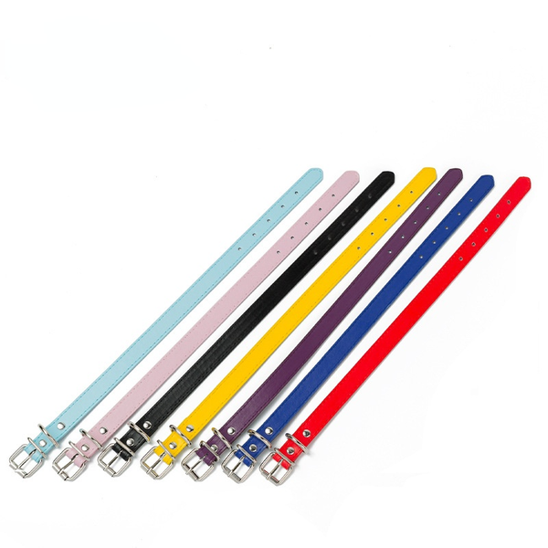 candy color pu leather adjustable dog collars sturdy puppy leash collar pet supplies red black blue
candy color pu leather adjustable dog collars sturdy puppy leash collar pet supplies red black blue