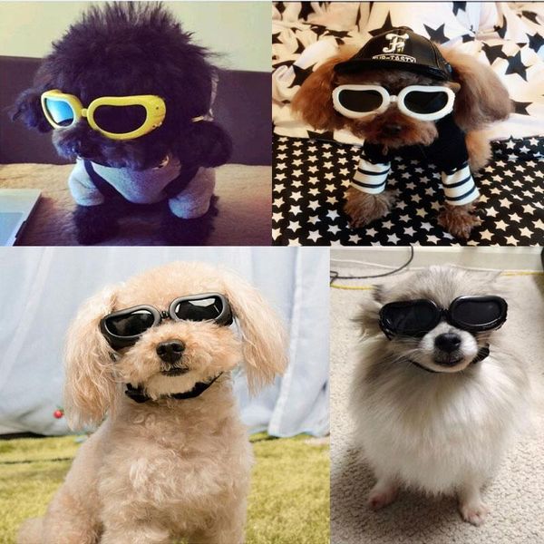 dog apparel adjustable pet sunglasses small puppy cat fashion goggles waterproof windproof eye wear protection uv sun glasses
dog apparel adjustable pet sunglasses small puppy cat fashion goggles waterproof windproof eye wear protection uv sun glasses