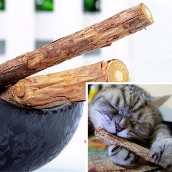 cute pet product cat stick cleaning teeth sticks catnip molar toothpaste gift for toys
cute pet product cat stick cleaning teeth sticks catnip molar toothpaste gift for toys