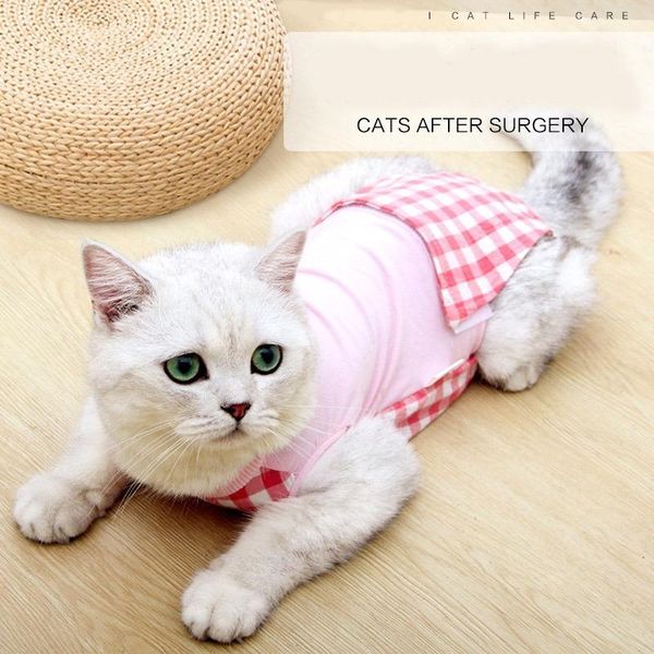 professional cats dogs recovery suit for abdominal wounds protector soft cotton breathable pet anti-licking clothes coat cat costume costume
professional cats dogs recovery suit for abdominal wounds protector soft cotton breathable pet anti-licking clothes coat cat costume costume