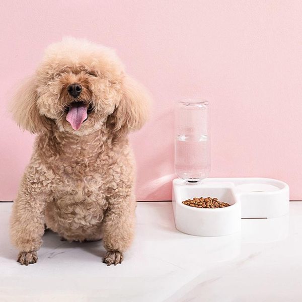 portable pet feeder plastic twin port automatic water drinking feeding basin bowls for cats dogs love-shaped supplies dog & feeders
portable pet feeder plastic twin port automatic water drinking feeding basin bowls for cats dogs love-shaped supplies dog & feeders