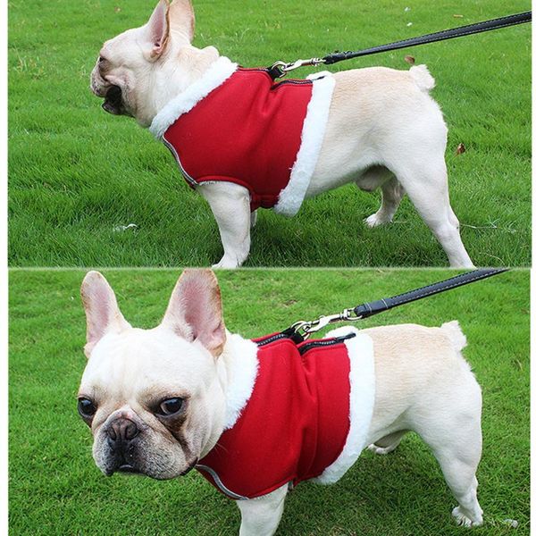 dog collars & leashes winter pet clothes windproof vest down jacket puppy small dogs warm chihuahua apparel supplies with leash
dog collars & leashes winter pet clothes windproof vest down jacket puppy small dogs warm chihuahua apparel supplies with leash