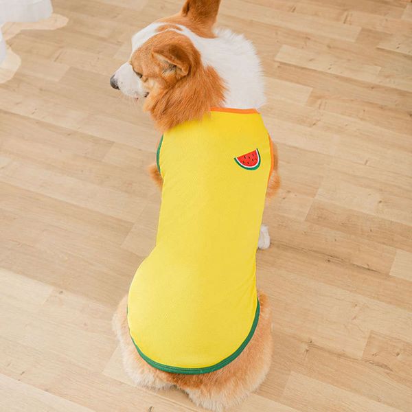 dog apparel spring and summer cockey dog vest mesh breathable bipedal clothing small medium cute pet
dog apparel spring and summer cockey dog vest mesh breathable bipedal clothing small medium cute pet