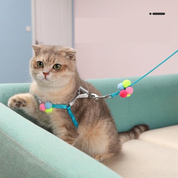 cat collar harness leash adjustable polyester pet traction kitten dog accessory cats products belt collars & leashes
cat collar harness leash adjustable polyester pet traction kitten dog accessory cats products belt collars & leashes