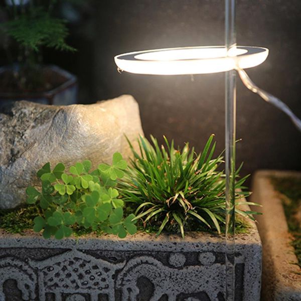 grow lights plant light led full spectrum phyto lamp usb phytolamp for plants growth lighting indoor
grow lights plant light led full spectrum phyto lamp usb phytolamp for plants growth lighting indoor