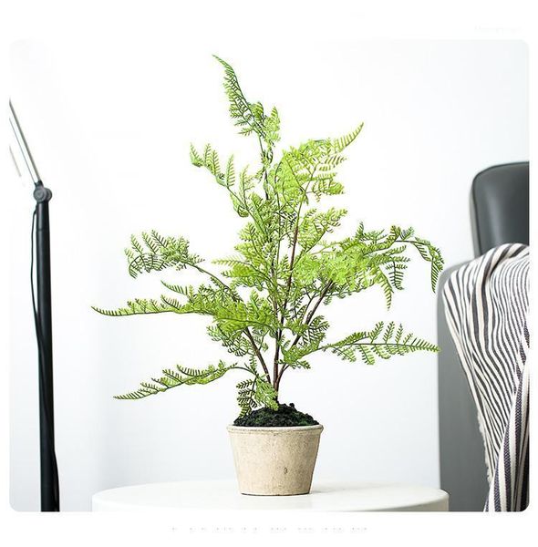 decorative flowers & wreaths simulation small potted leaf fern deskpersian living room decoration artificial green plants home accessori1
decorative flowers & wreaths simulation small potted leaf fern deskpersian living room decoration artificial green plants home accessori1