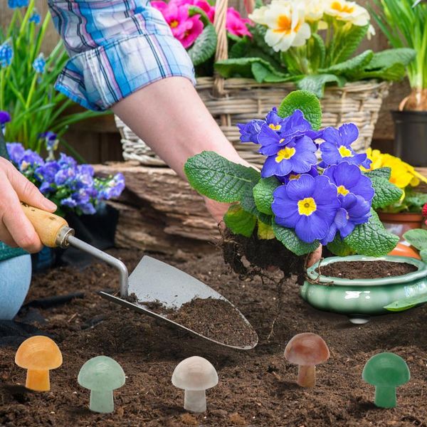 planters & pots 1 piece celadon ice crack hexagon glazed mame bonsai pot attractive ceramic flowerpot succulents planter garden supplies
planters & pots 1 piece celadon ice crack hexagon glazed mame bonsai pot attractive ceramic flowerpot succulents planter garden supplies