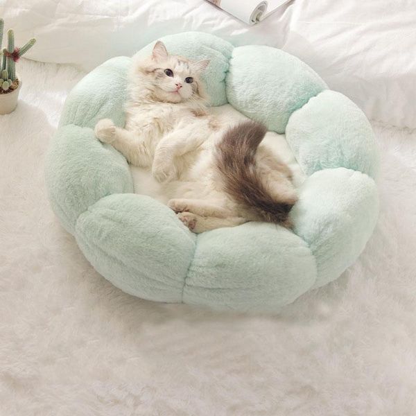 cat beds & furniture tapis pour chat litter four seasons universal kennel bed summer removable and washable thick winter warm pet supplies
cat beds & furniture tapis pour chat litter four seasons universal kennel bed summer removable and washable thick winter warm pet supplies