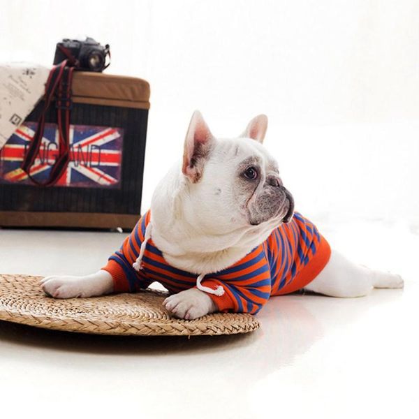 dog apparel pet hoodie spring striped puppy classical red stripes hooded costume comfortable outwear clothes
dog apparel pet hoodie spring striped puppy classical red stripes hooded costume comfortable outwear clothes