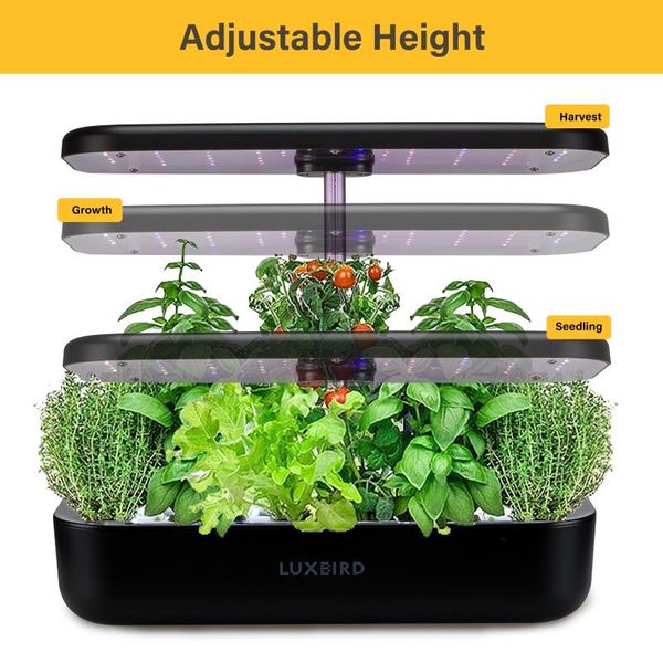 planters & pots inkbird automatic nursery flower vegetable garden planter hydroponics growing system indoor gardening starter kit
planters & pots inkbird automatic nursery flower vegetable garden planter hydroponics growing system indoor gardening starter kit