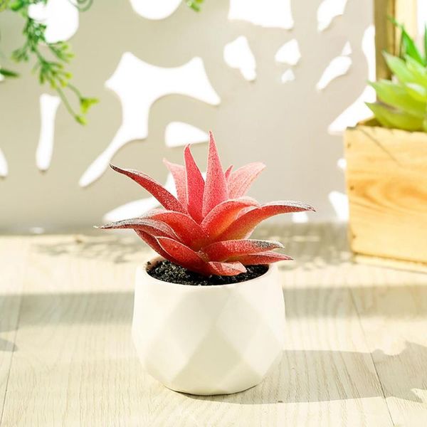 decorative flowers & wreaths good multicolor unique mini fake white ceramic potted succulent for restaurant succulents faux
decorative flowers & wreaths good multicolor unique mini fake white ceramic potted succulent for restaurant succulents faux