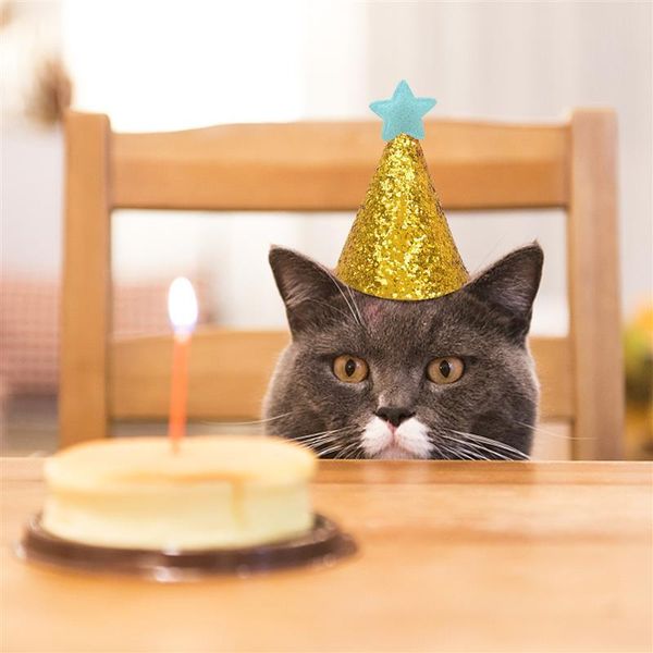 cat costumes 2pcs pet birthday hat glitter star decor diy party costume supplies quality headwear sequins dog accessory
cat costumes 2pcs pet birthday hat glitter star decor diy party costume supplies quality headwear sequins dog accessory