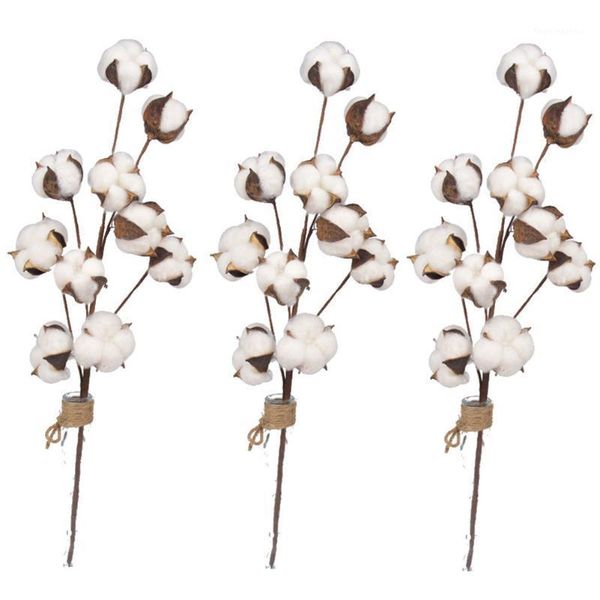 3pcs dried flower cotton stems 10 heads 21inch farmhouse style artificial plants floral decoration party home display filler1
3pcs dried flower cotton stems 10 heads 21inch farmhouse style artificial plants floral decoration party home display filler1