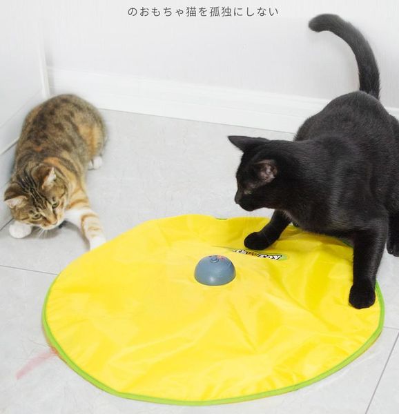 cat toys toy electric turntable automatic tease stick kitty accompany supplies
cat toys toy electric turntable automatic tease stick kitty accompany supplies