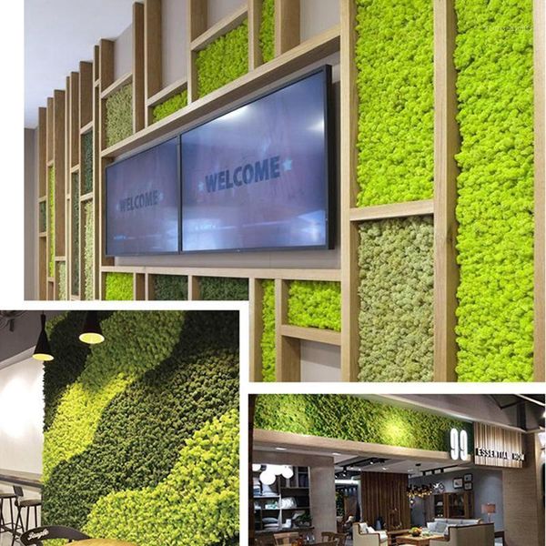 preserved moss wall decoration 19 colors real no maintenance required naturally office home decor1
preserved moss wall decoration 19 colors real no maintenance required naturally office home decor1