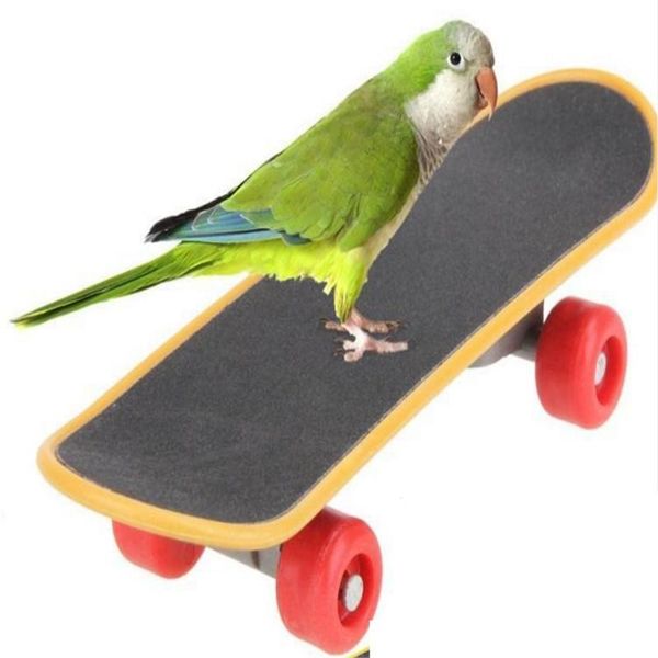 other bird supplies pet intelligence foot-talon toys training mini skateboard stand perch for parrot
other bird supplies pet intelligence foot-talon toys training mini skateboard stand perch for parrot
