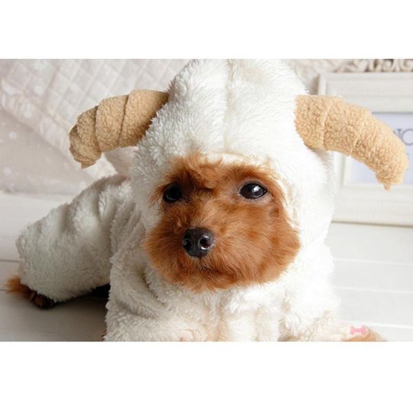 dog apparel sweet sheep pet clothes costumes for small dogs funny supplies warm jumper winter transformation ropa perro
dog apparel sweet sheep pet clothes costumes for small dogs funny supplies warm jumper winter transformation ropa perro