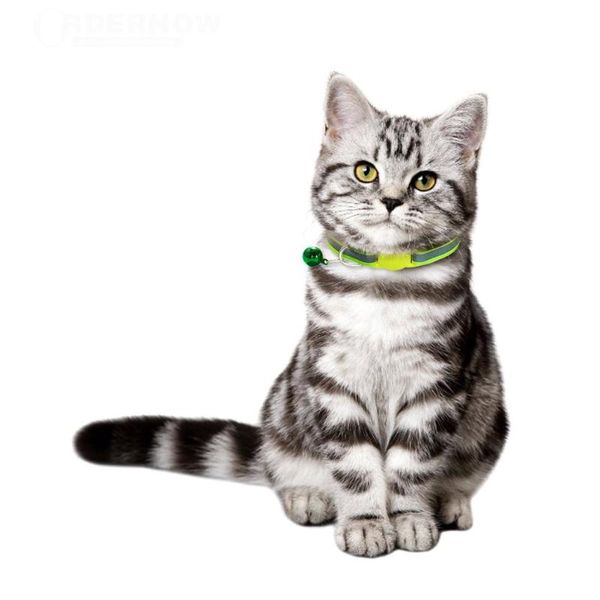 12pcs pet cat kitten collar neck strap adjustable safety reflective ring necklace colorful buckle supplies collars & leads
12pcs pet cat kitten collar neck strap adjustable safety reflective ring necklace colorful buckle supplies collars & leads