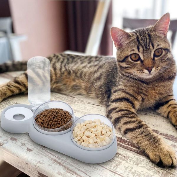 cat bowls & feeders pet bowl double water feeder with auto dispenser dog drinking raised stand dish three
cat bowls & feeders pet bowl double water feeder with auto dispenser dog drinking raised stand dish three