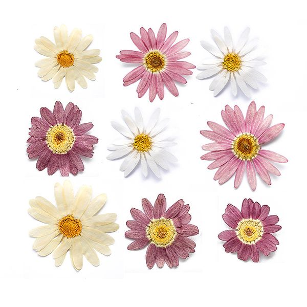 margaret specimen dry flower diy material bag glue dropping mobile phone case aromatherapy candle nail enhancement p petal makeup festival g
margaret specimen dry flower diy material bag glue dropping mobile phone case aromatherapy candle nail enhancement p petal makeup festival g