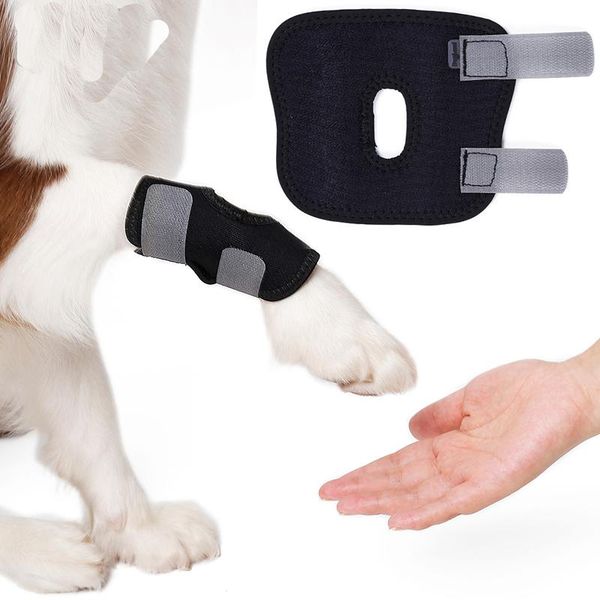 knee pad dog pet pads recover injury legs hock brace protector safe love supplies apparel
knee pad dog pet pads recover injury legs hock brace protector safe love supplies apparel