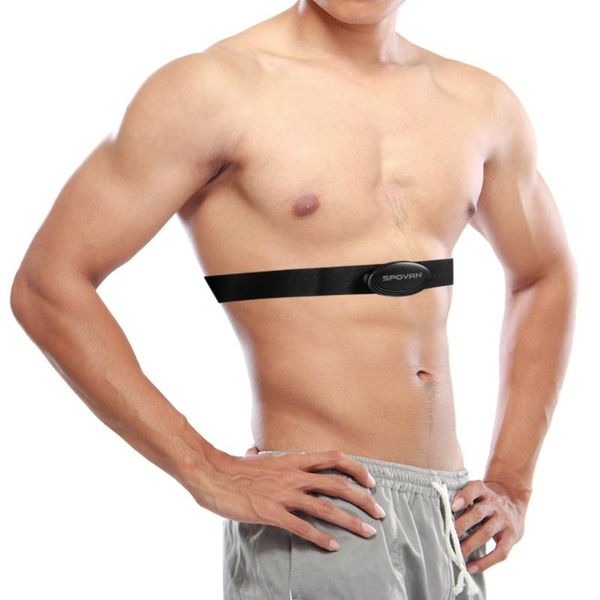 wireless sports heart rate monitor chest strap sensitive sensor rechargeable rater fitness tracker band accessories
wireless sports heart rate monitor chest strap sensitive sensor rechargeable rater fitness tracker band accessories