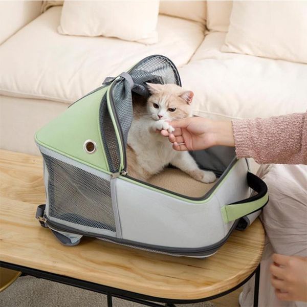 cat carriers,crates & houses pet carrier bag oxford fabric portable backpack large capacity dogs carrying folding chest outdoor travel
cat carriers,crates & houses pet carrier bag oxford fabric portable backpack large capacity dogs carrying folding chest outdoor travel