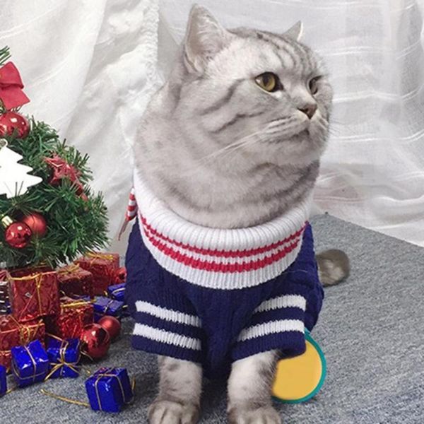 cat costumes lightweight stylish bowknot decor pet sweater turtleneck fashionable for autumn
cat costumes lightweight stylish bowknot decor pet sweater turtleneck fashionable for autumn