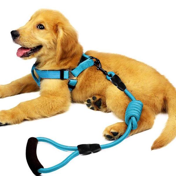 dog collars & leashes adjustable nylon harness leash set pet vest rope chest strap 4color drop
dog collars & leashes adjustable nylon harness leash set pet vest rope chest strap 4color drop
