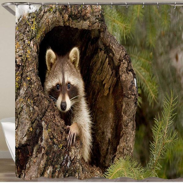 shower curtain set with 12 hooks,raccoon in tree animals,decorative bath curtain modern bathroom accessories,machine
shower curtain set with 12 hooks,raccoon in tree animals,decorative bath curtain modern bathroom accessories,machine