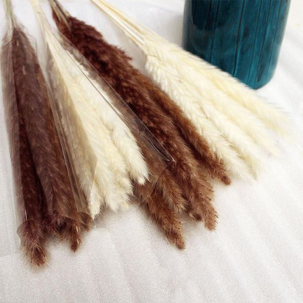 decorative flowers & wreaths reed dried wedding pography living room home floor ornaments display decoration eternal factory direct wholes
decorative flowers & wreaths reed dried wedding pography living room home floor ornaments display decoration eternal factory direct wholes