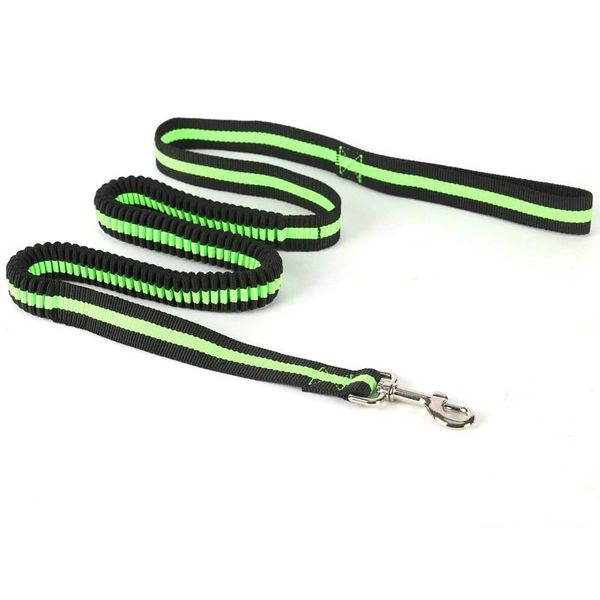 dog collars & leashes leash pet products sport everything for dogs outdoor master bungee leash, improved safety comfort modern 23 junt4
dog collars & leashes leash pet products sport everything for dogs outdoor master bungee leash, improved safety comfort modern 23 junt4