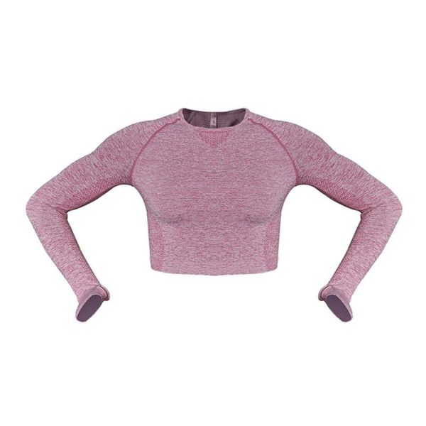style high neck long sleeves and waist sports shirts women spring summer autumn winter yoga outfit
style high neck long sleeves and waist sports shirts women spring summer autumn winter yoga outfit