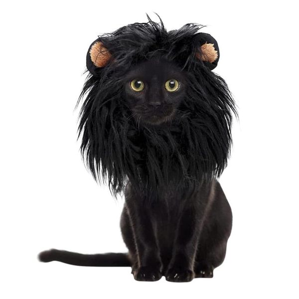 dog apparel home decor pet black wig cat costume synthetic headdress for halloween party
dog apparel home decor pet black wig cat costume synthetic headdress for halloween party