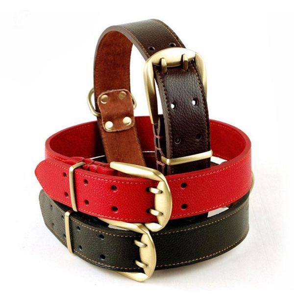 dog collars & leashes large giant pet supplies genuine leather husky samoyed collar adjustable accessories
dog collars & leashes large giant pet supplies genuine leather husky samoyed collar adjustable accessories