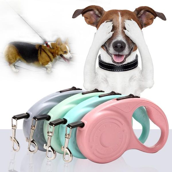 dog collars & leashes 3m/5m leash automatic retractable traction rope adable extending belt for cat outdoor walking pet accories
dog collars & leashes 3m/5m leash automatic retractable traction rope adable extending belt for cat outdoor walking pet accories