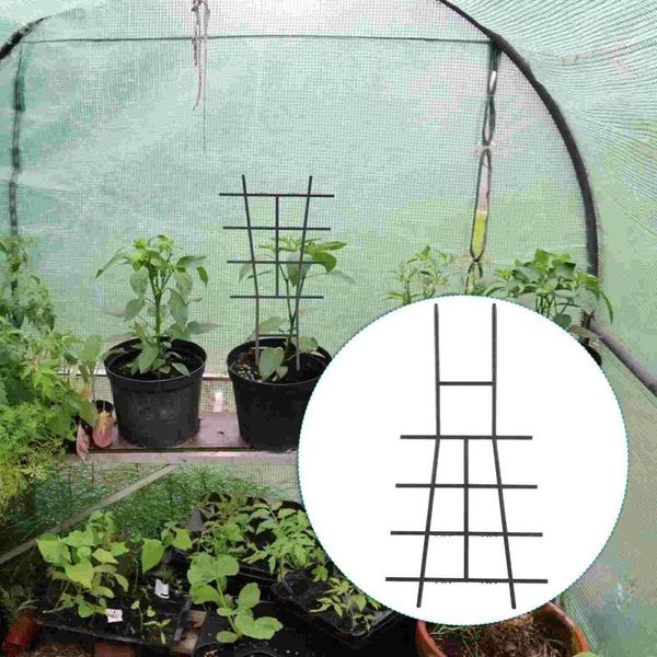 vases 3pcs climbing plant support stand trellis vegetable
vases 3pcs climbing plant support stand trellis vegetable