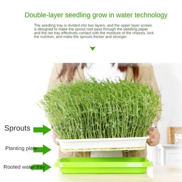 planters & pots seed sprouter tray double layer soilless bean culture hydroponic nursery plate sprouting pot planter garden home plastic pla
planters & pots seed sprouter tray double layer soilless bean culture hydroponic nursery plate sprouting pot planter garden home plastic pla