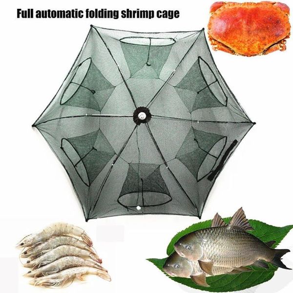 holes folded portable hexagon fishing net crayfish fish automatic trap shrimp carp catcher cages mesh nets crabtrap accessories
holes folded portable hexagon fishing net crayfish fish automatic trap shrimp carp catcher cages mesh nets crabtrap accessories