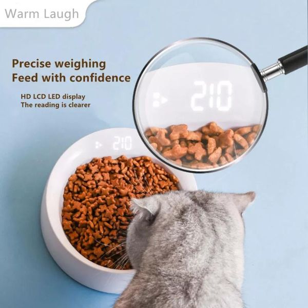 cat bowls & feeders pet bowl feeder smart weighing snack supplies single and dog
cat bowls & feeders pet bowl feeder smart weighing snack supplies single and dog