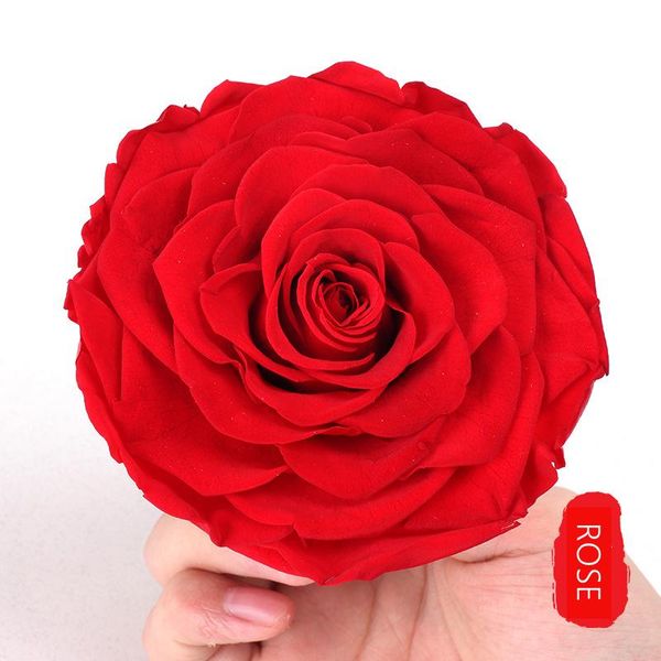 largepreserved rose head home decor artificial flower dried living indie room decoration gift diy for party wedding decorative flowers & wre
largepreserved rose head home decor artificial flower dried living indie room decoration gift diy for party wedding decorative flowers & wre