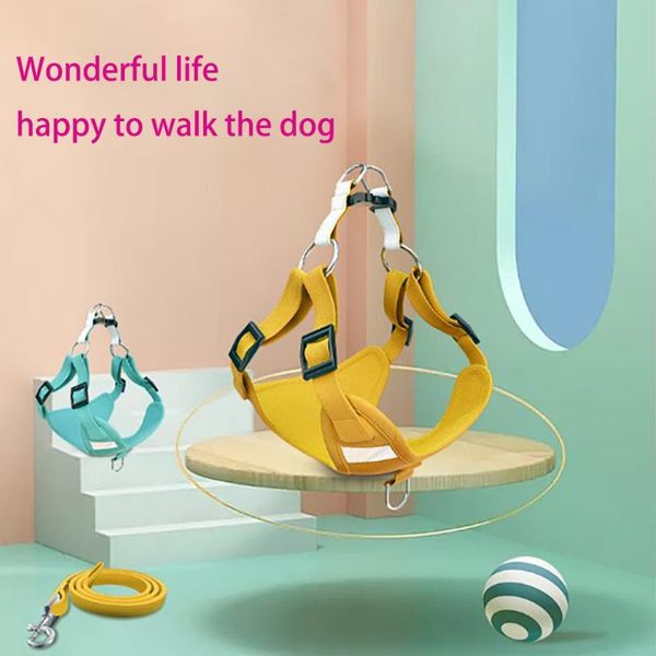dog collars & leashes 2021 style pet supplies suede chest back small and medium-sized vest type leash reflective harness
dog collars & leashes 2021 style pet supplies suede chest back small and medium-sized vest type leash reflective harness