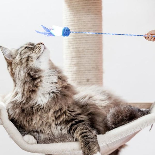 cat toys selling funny kitten plush catnip sequin feather interactive portable fashionable molar for
cat toys selling funny kitten plush catnip sequin feather interactive portable fashionable molar for