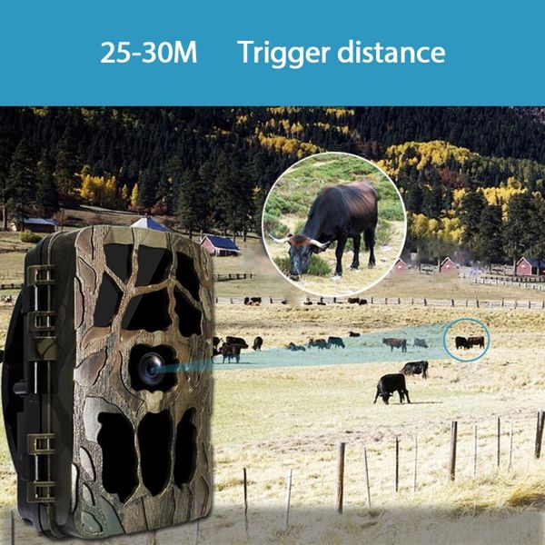 hunting cameras waterproof camera night vision outdoor 4k hd scouting wild animal detector forest monitor
hunting cameras waterproof camera night vision outdoor 4k hd scouting wild animal detector forest monitor