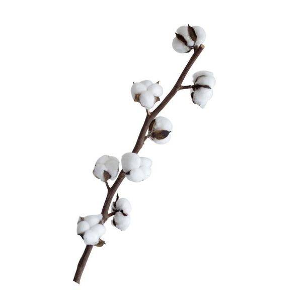 decorative flowers & wreaths simulation flower cotton bouquet diy accessories garland christmas and year wedding holiday home d
decorative flowers & wreaths simulation flower cotton bouquet diy accessories garland christmas and year wedding holiday home d