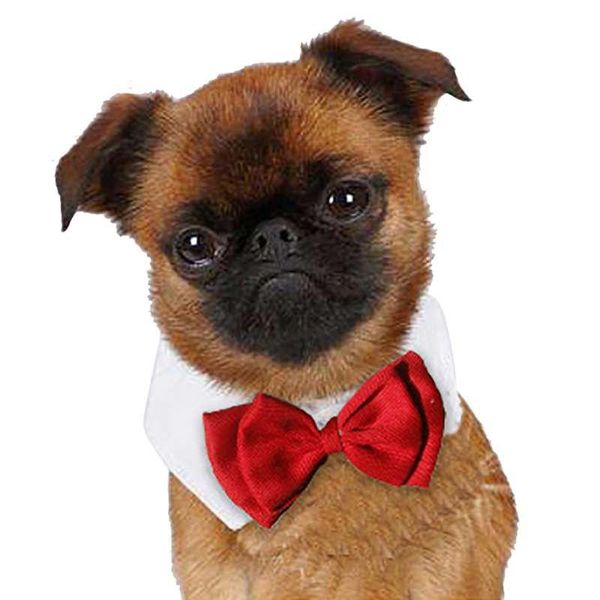 dog apparel gentleman bow adjustable butterfly tie accessories pet ties collar necktie cat neckties
dog apparel gentleman bow adjustable butterfly tie accessories pet ties collar necktie cat neckties